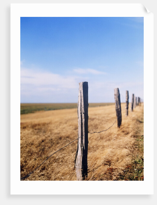 Wooden fence on meadow, St Peter-Ording, Germany by Anonymous