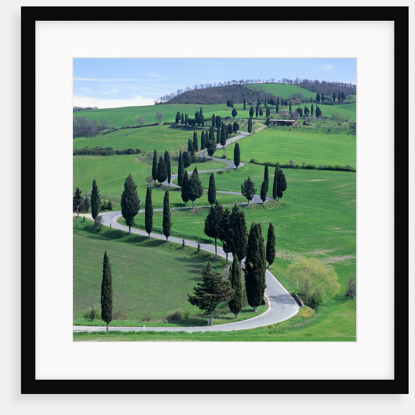 Country road, Tuscany, Italy (near Pienza) by Anonymous