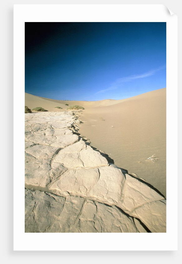 Stovepipe Wells, Death Valley, Nevada, USA by Anonymous