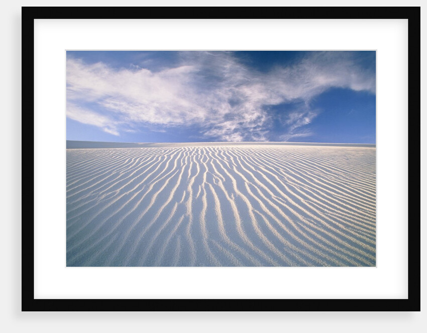 White Sands National Monument by Anonymous