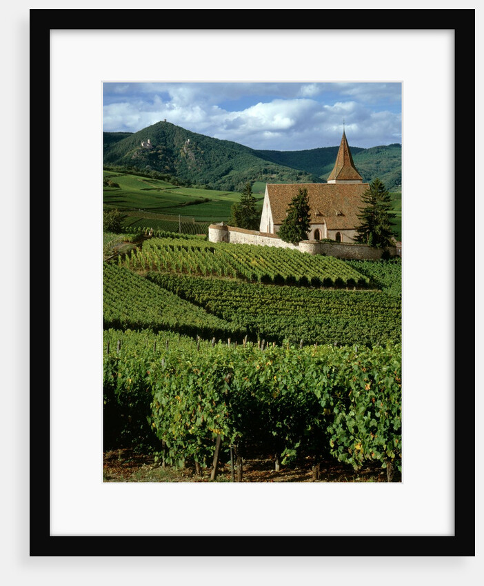 Agricultural scene, Hunawihr, Alsace-Lorraine, France by Anonymous