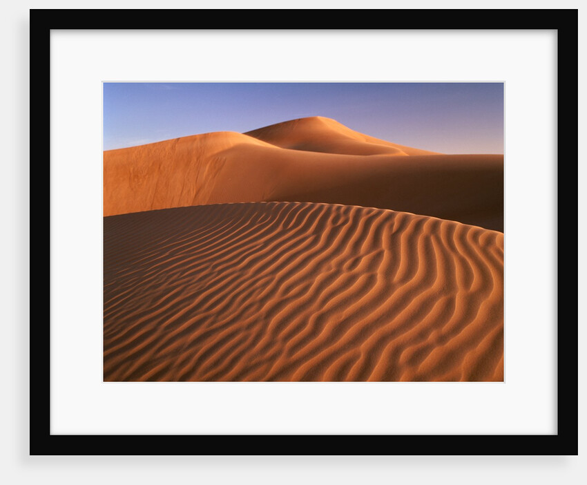 Dunes in the desert (Hatta, United Arab Emirates) by Anonymous