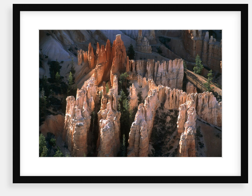 USA, Utah, Bryce Canyon by Anonymous