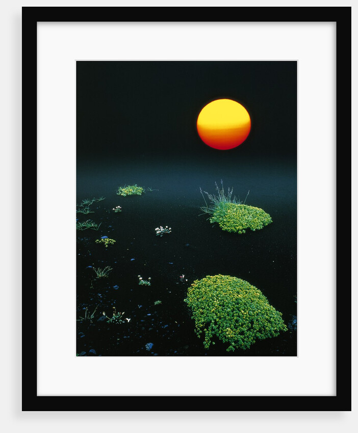 Sun over black lava, Iceland by Anonymous
