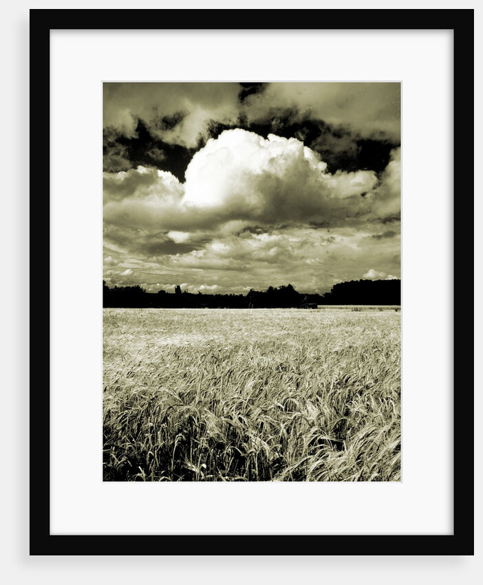 Field Under Cloudy Sky by Anonymous
