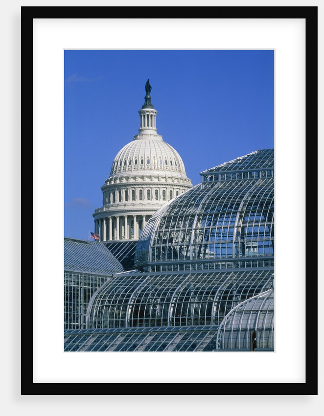 United States Botanic Garden Conservatory and Capitol, Washington DC, USA by Anonymous