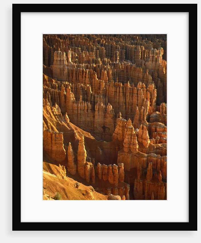USA, Utah, Bryce Canyon by Anonymous