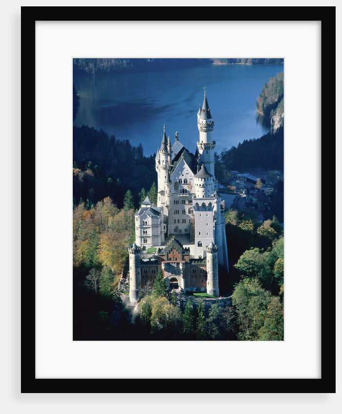 Neuschwanstein castle in autumn, Bavaria by Anonymous