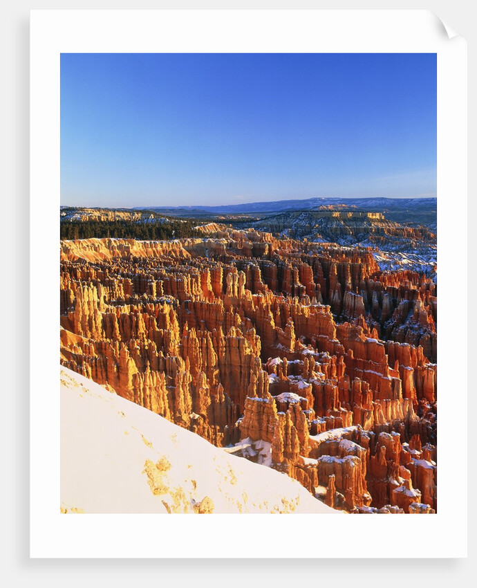 Bryce Canyon by Anonymous
