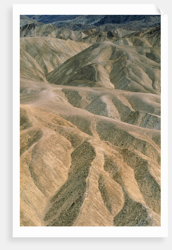 Zabriskie Point in the Death Valley National Park, California (USA) by Anonymous
