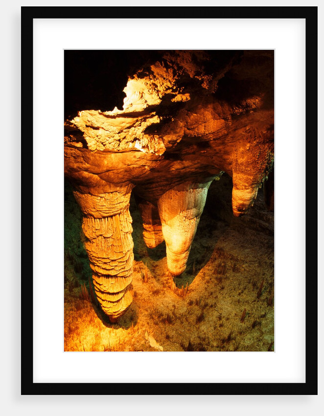 Carlsbad dripstone cave in New Mexico - USA by Anonymous