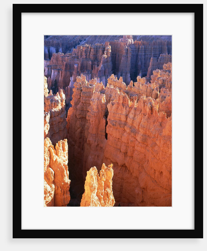USA, Utah, Bryce Canyon by Anonymous