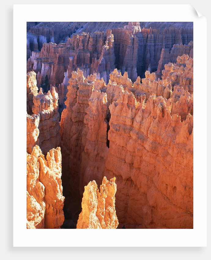 USA, Utah, Bryce Canyon by Anonymous