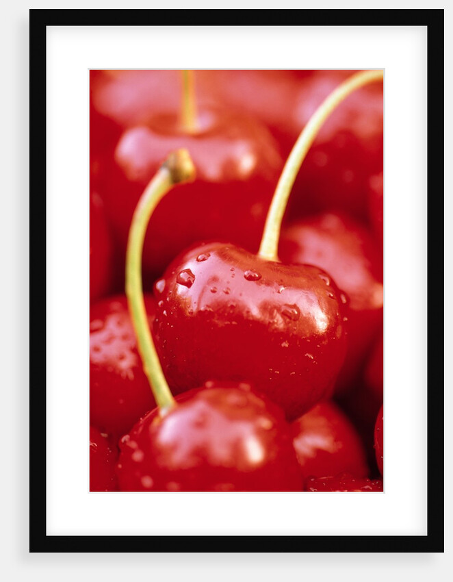 Cherrys by Anonymous