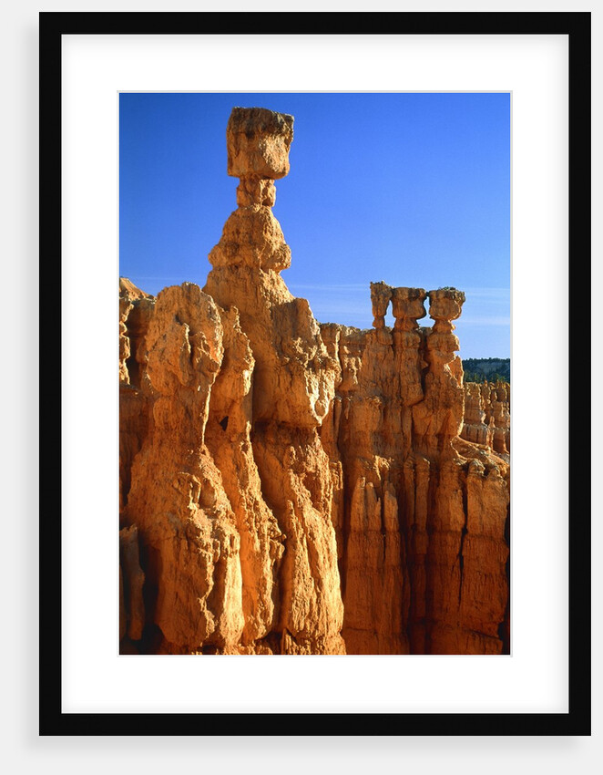 USA, Utah, Bryce Canyon by Anonymous