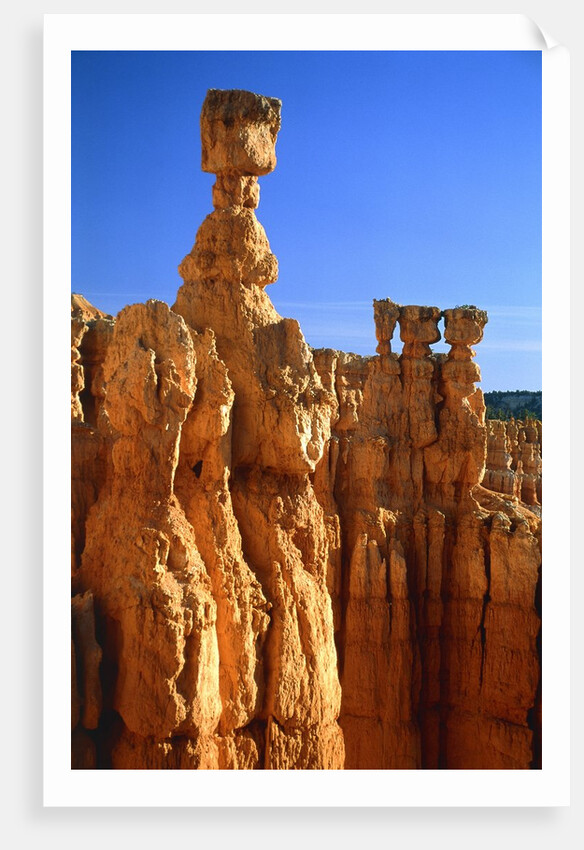 USA, Utah, Bryce Canyon by Anonymous
