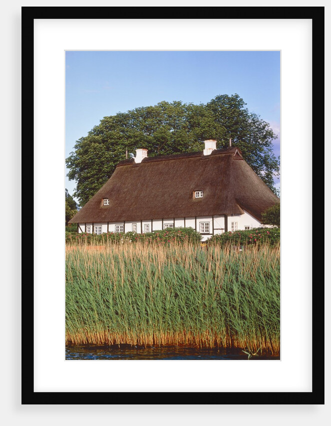 Half timbered house with reed roof by Anonymous