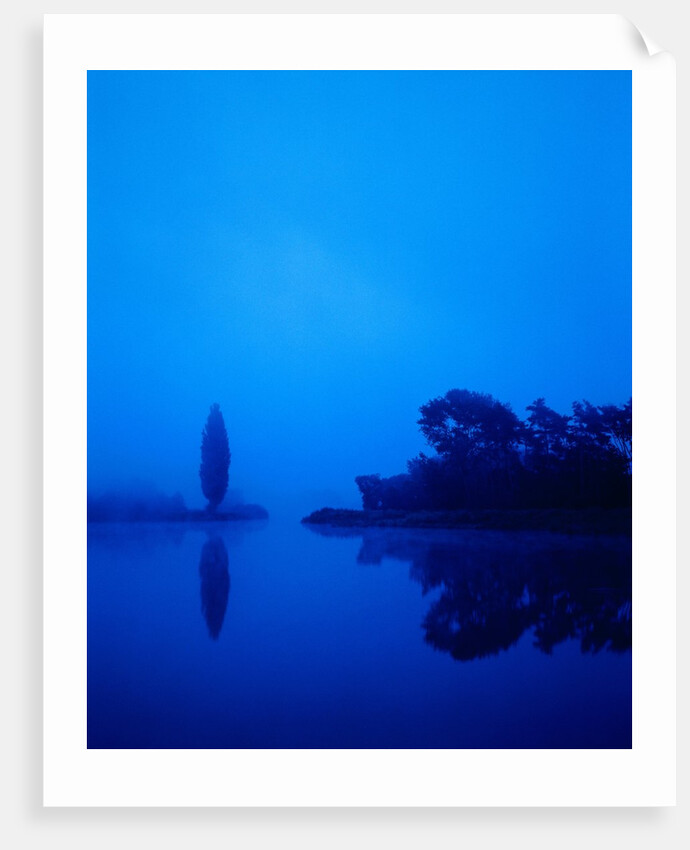 Landscape around a lake in the dawn by Anonymous