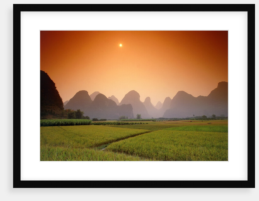 Rice fields an chalk mountains at twilight, Yangshou, Guangxi Province, China by Anonymous