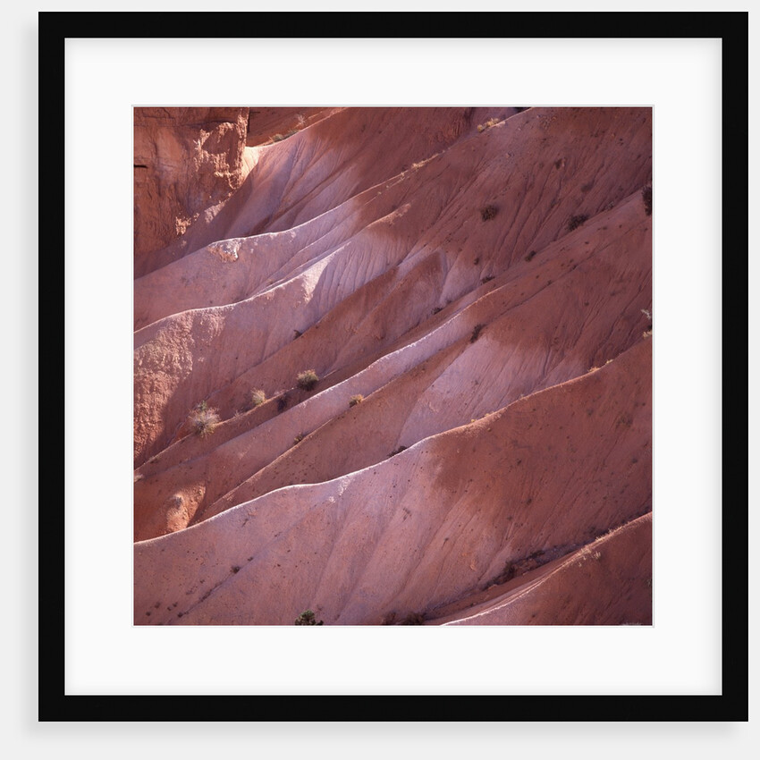 Sunrise Point, Bryce Canyon, Utah, USA by Anonymous