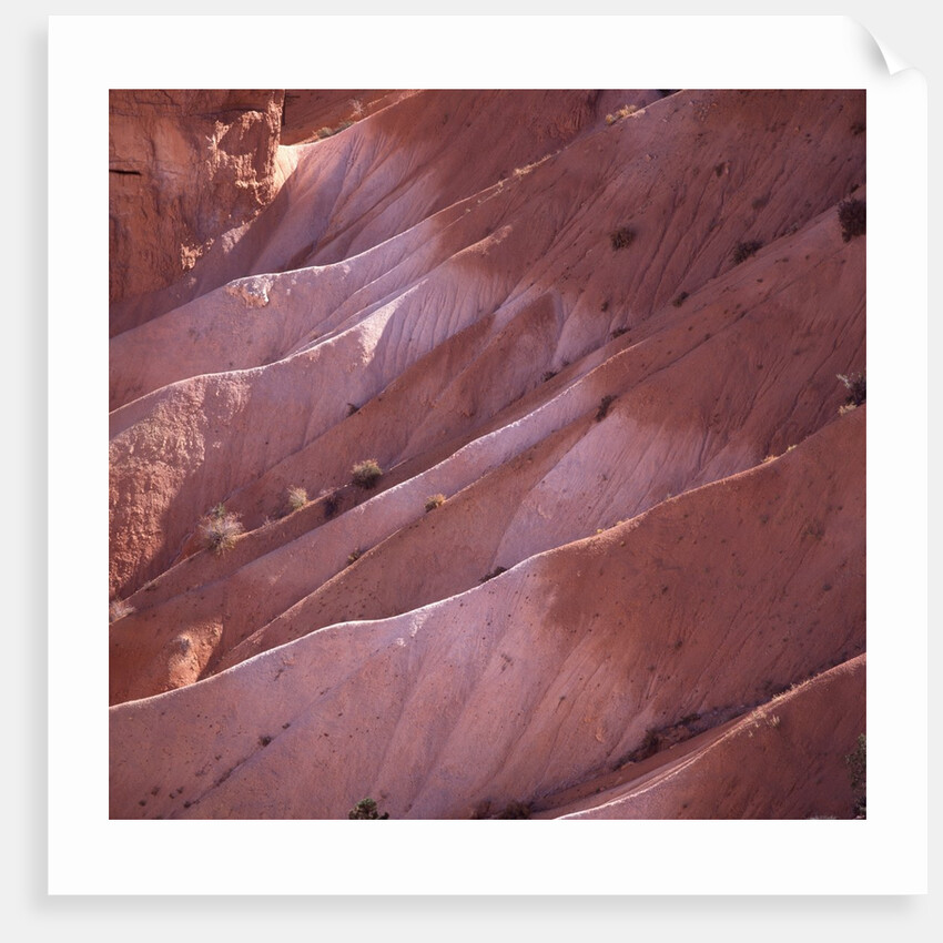 Sunrise Point, Bryce Canyon, Utah, USA by Anonymous
