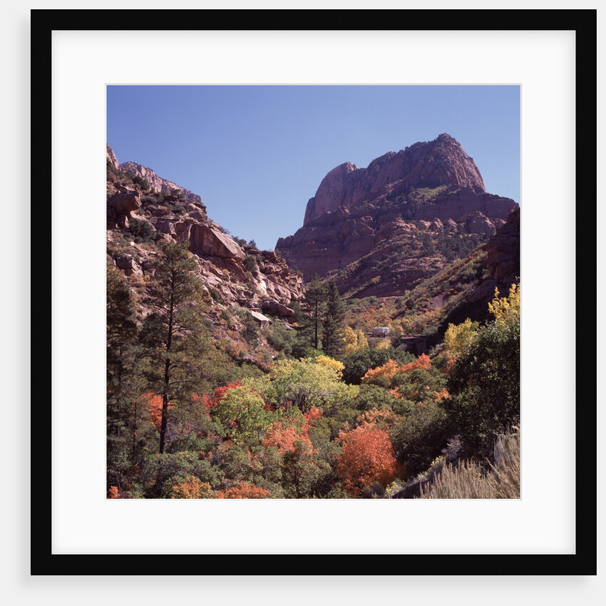 Kolob Canyon, Zion National Park, Utah, USA by Anonymous