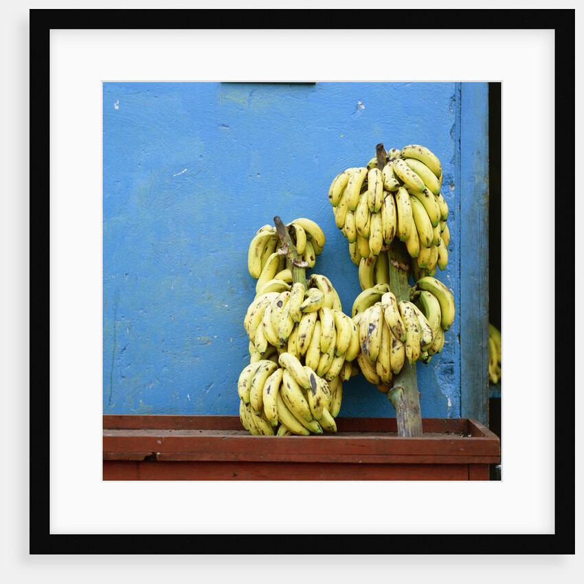 Bananas in front of blue wall, San Cristobal de las Casas, Mexico by Anonymous