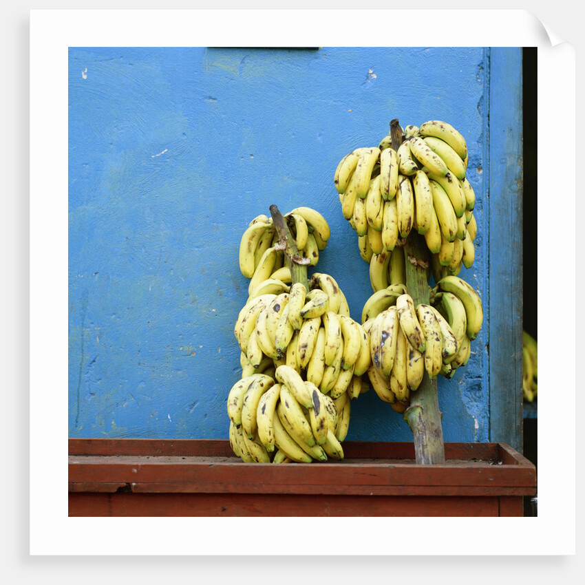 Bananas in front of blue wall, San Cristobal de las Casas, Mexico by Anonymous