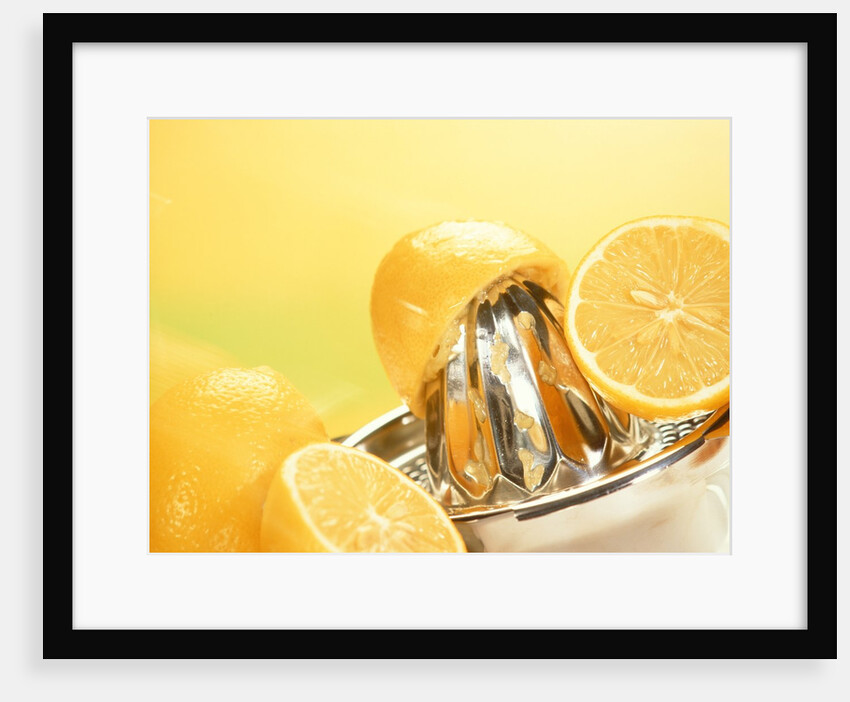 Lemons and a fruit-press by Anonymous