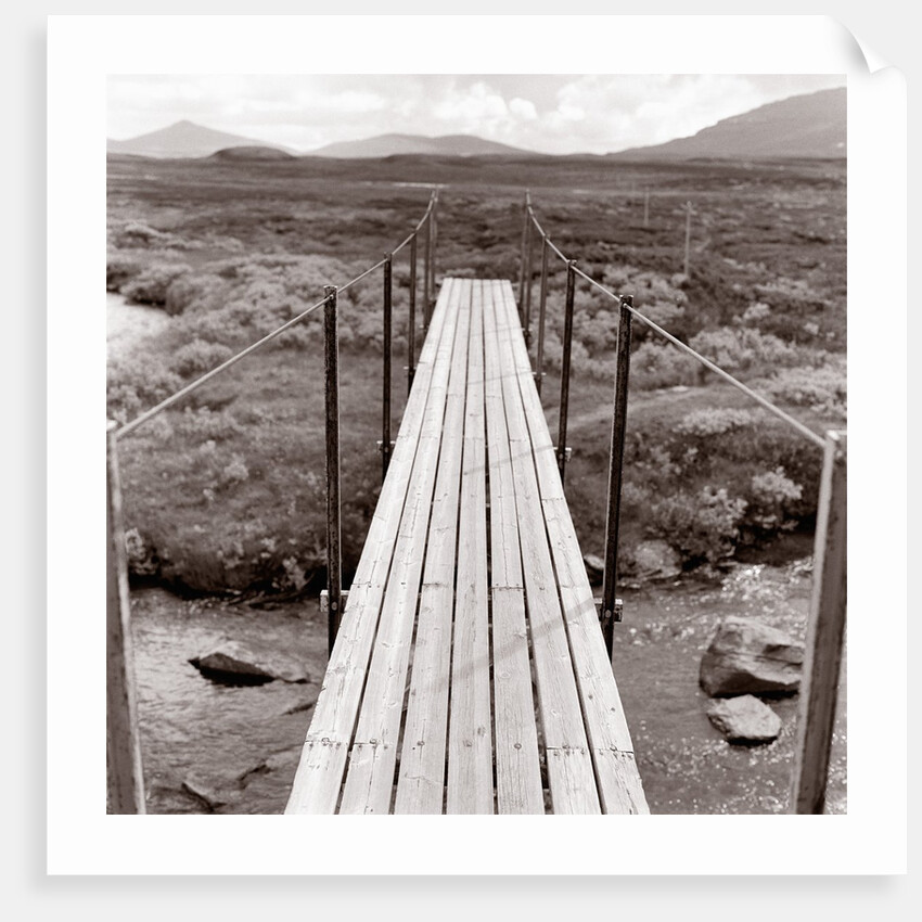 Wooden bridge over brook by Anonymous