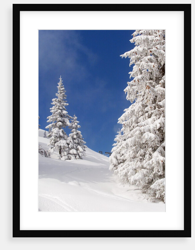 Snowcovered landscape by Anonymous