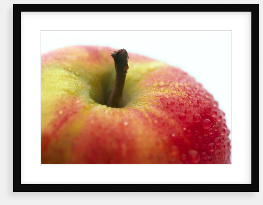 Apple and stem by Anonymous