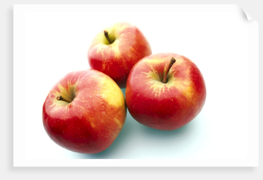 Three apples by Anonymous