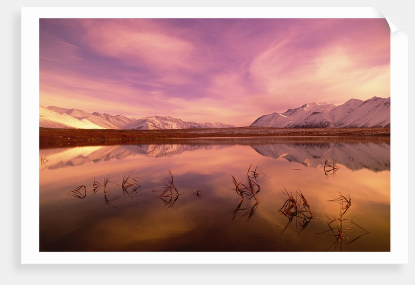 Brooks Range Reflecting in Pond, Alaska by Anonymous