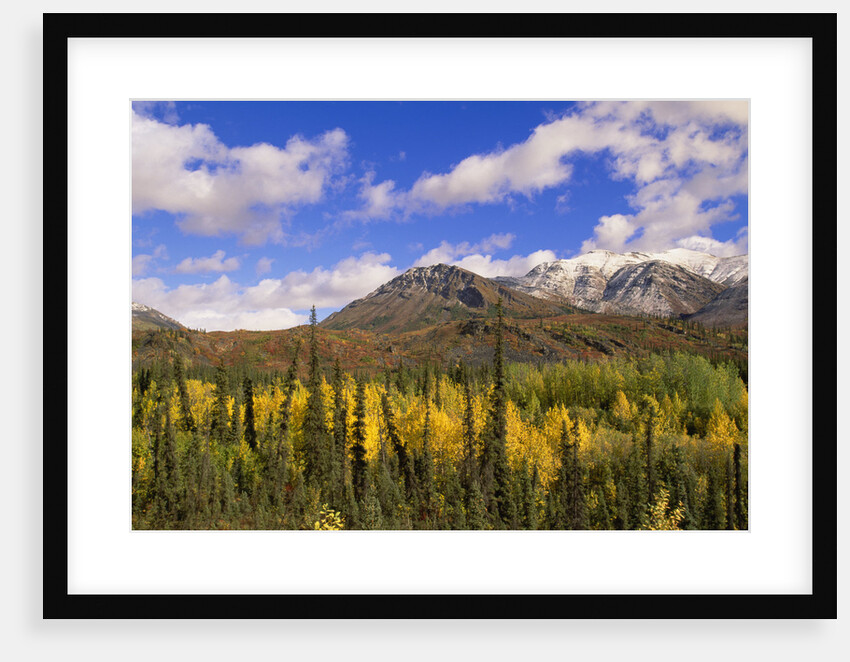 Ogilvie Mountains in Fall, Yukon by Anonymous