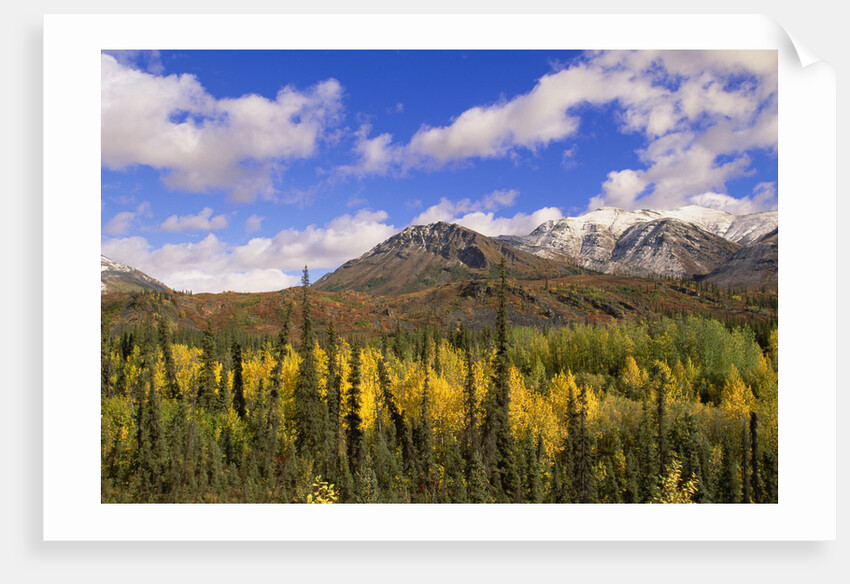Ogilvie Mountains in Fall, Yukon by Anonymous