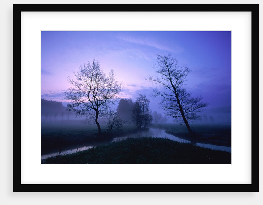 Misty river and forest at dusk, Baden-Wuerttemberg, Germany by Anonymous