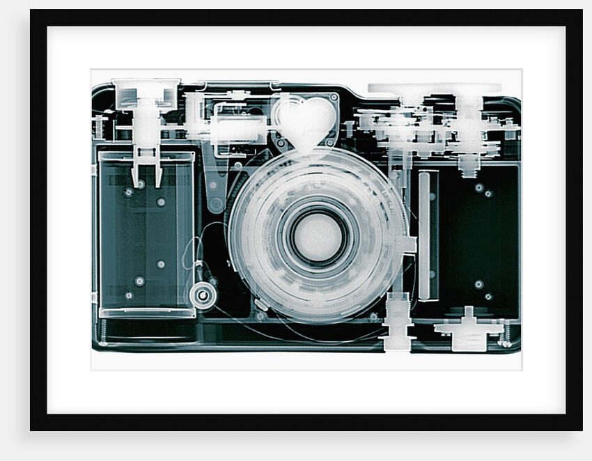 X-ray of Camera by Anonymous