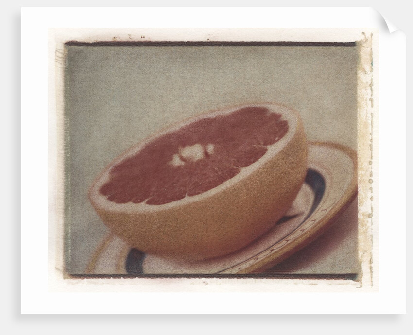 Grapefruit by Jennifer Kennard