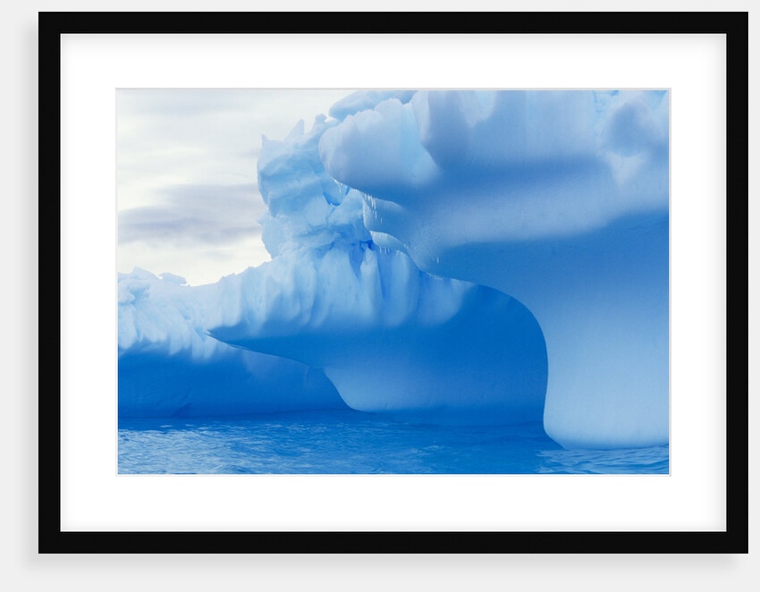 Iceberg by Anonymous