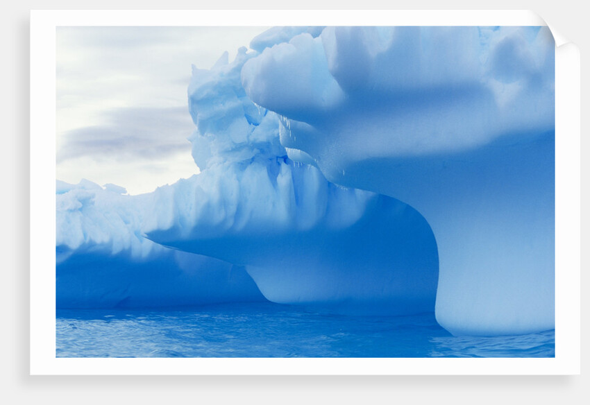 Iceberg by Anonymous