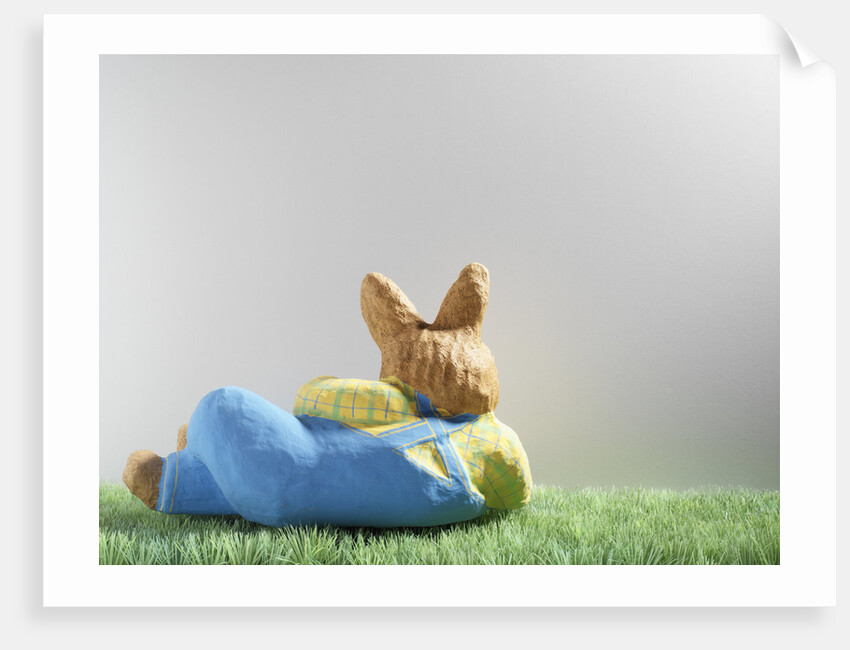Easter bunny lying on grass by Anonymous