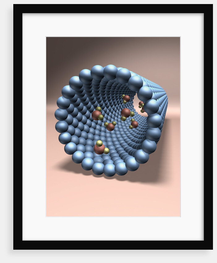 Model of Nanotube by Anonymous