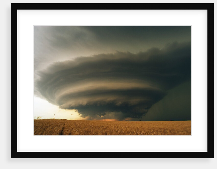 Supercell and Wheat Field by Anonymous