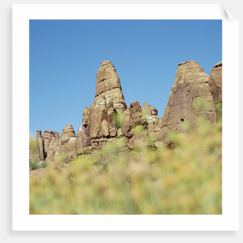 Low angle view of rock formations viewed through grass, Utah, USA by Anonymous