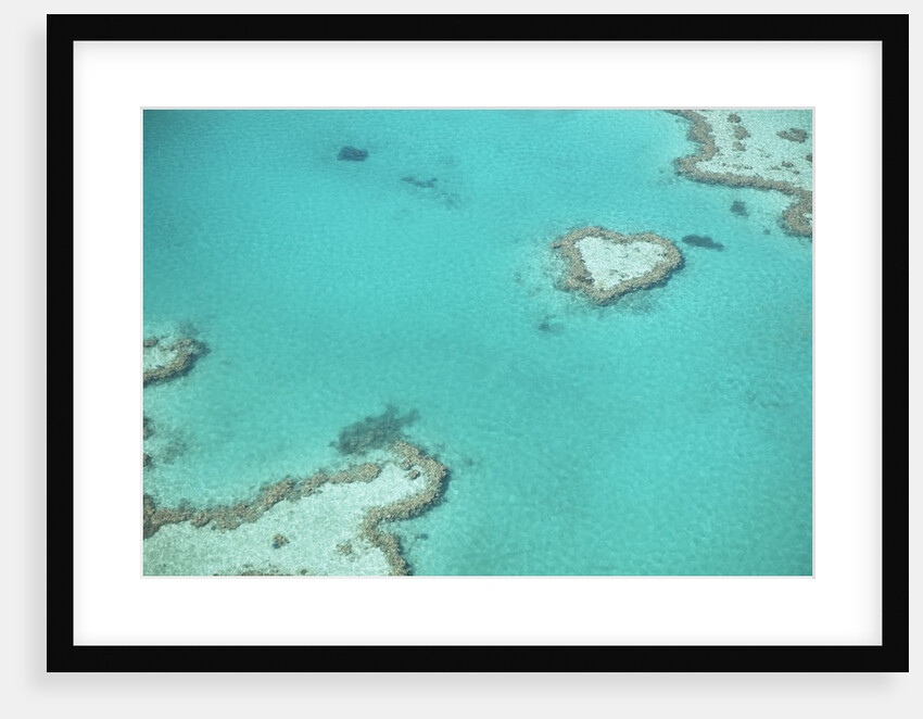 Aerial view of the Great Barrier Reef, Queensland, Australia by Anonymous