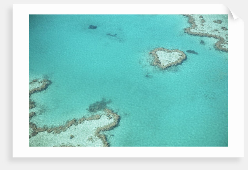 Aerial view of the Great Barrier Reef, Queensland, Australia by Anonymous