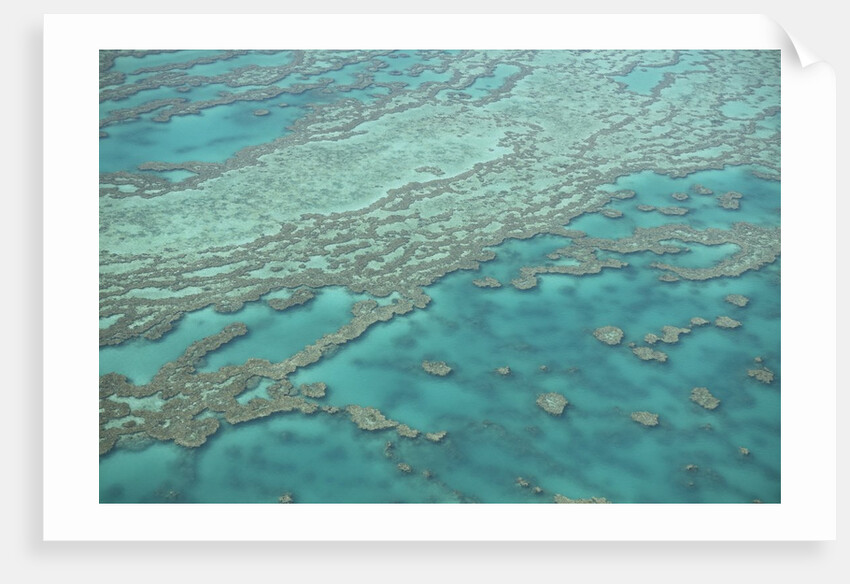 Aerial view of the Great Barrier Reef, Queensland, Australia by Anonymous