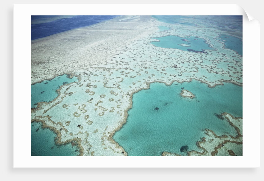 Aerial view of the Great Barrier Reef, Queensland, Australia by Anonymous
