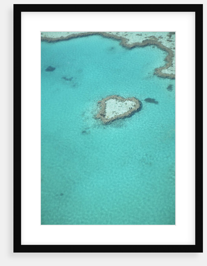 Aerial view of the Great Barrier Reef, Queensland, Australia by Anonymous